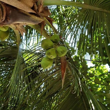 Tiwi Beach Resort & Spa Mombasa Exteriér fotografie