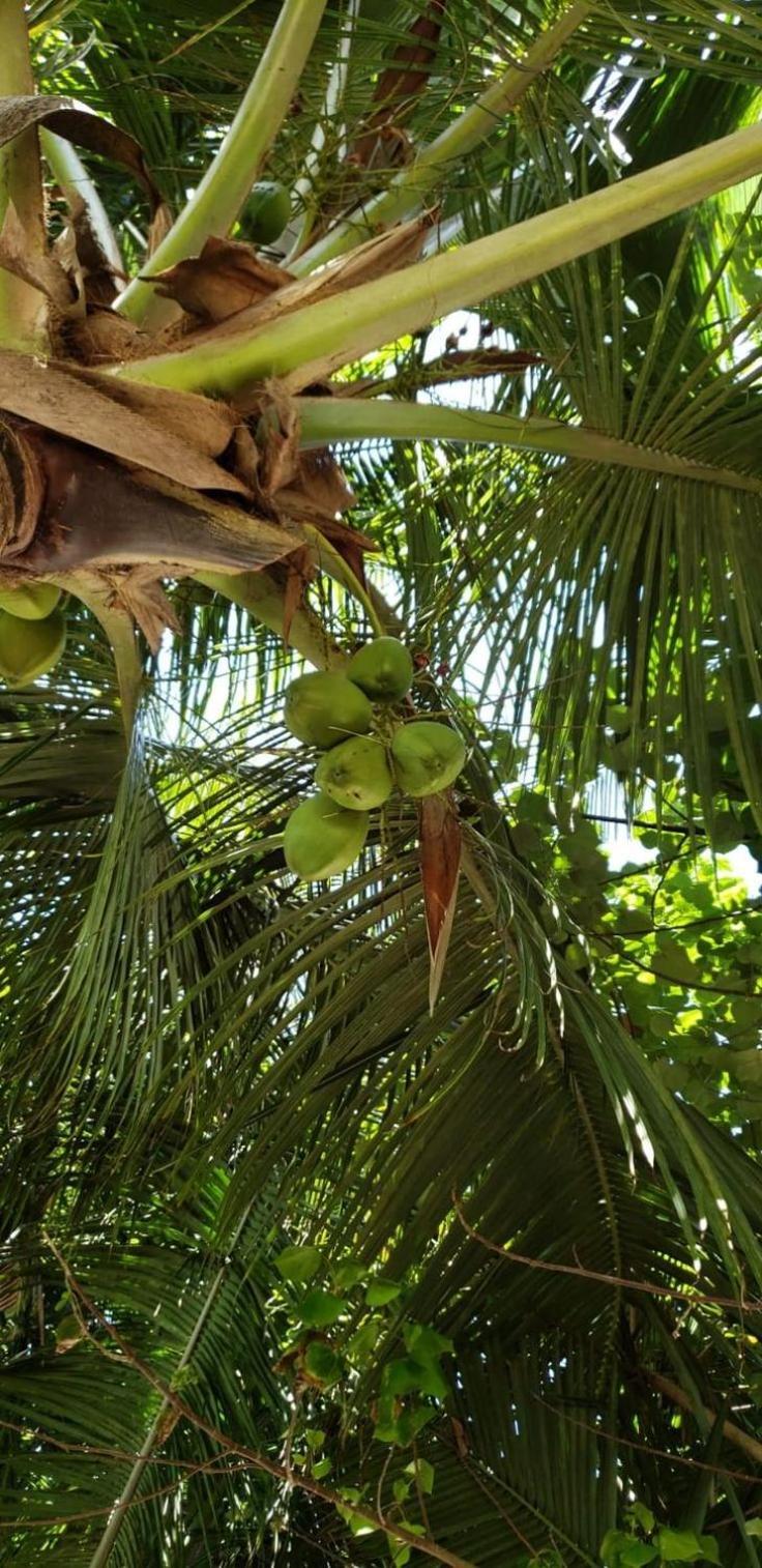 Tiwi Beach Resort & Spa Mombasa Exteriér fotografie